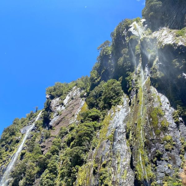 Milford Sound Waterfall Square