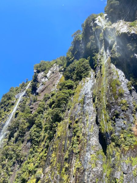 Milford Sound Waterfall