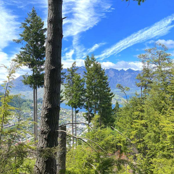 Ben Lomond Peaks Hike Square