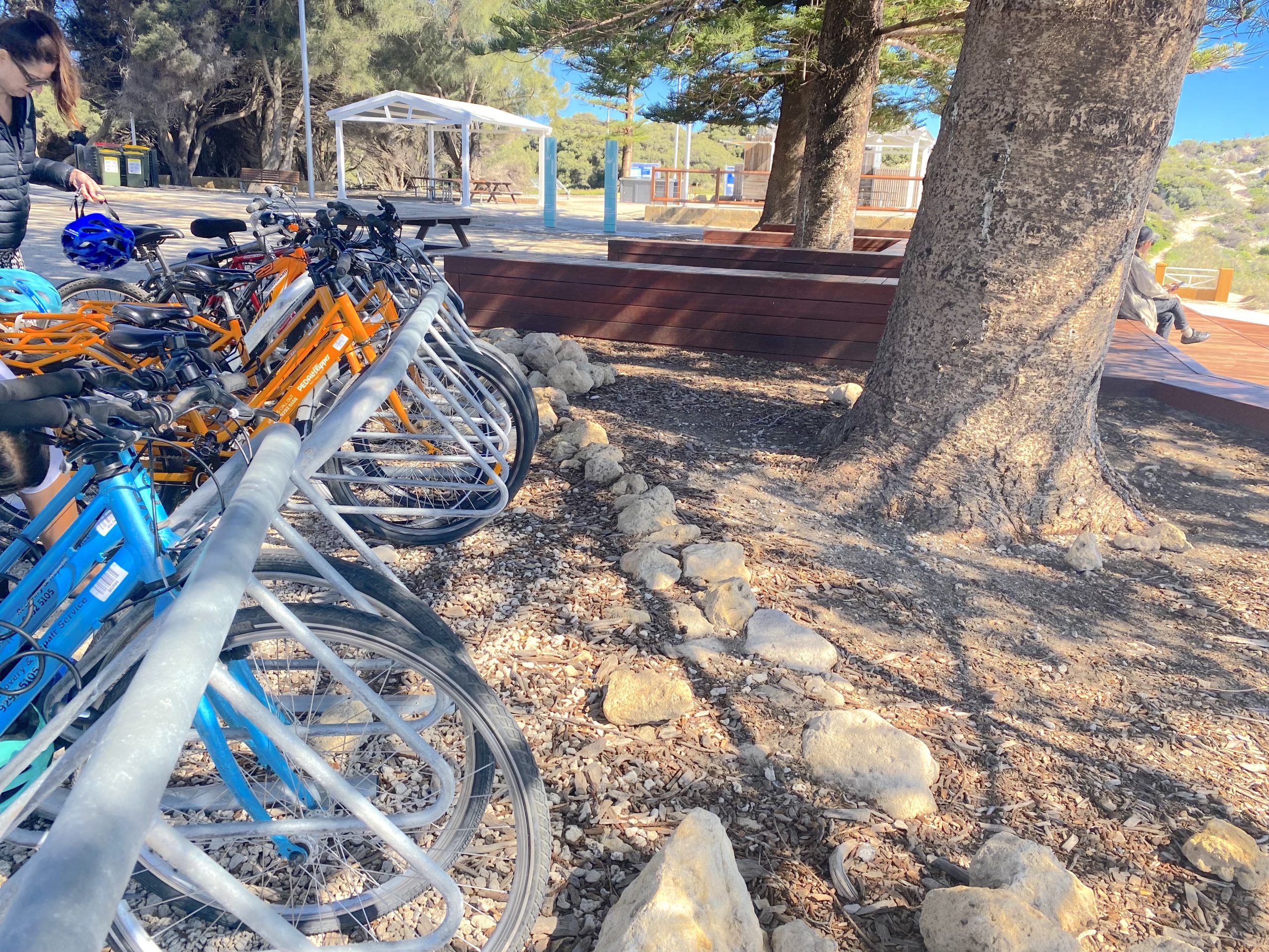 Rottnest Bicycle Hire Bike Rottnest Bicycle Hire Bike