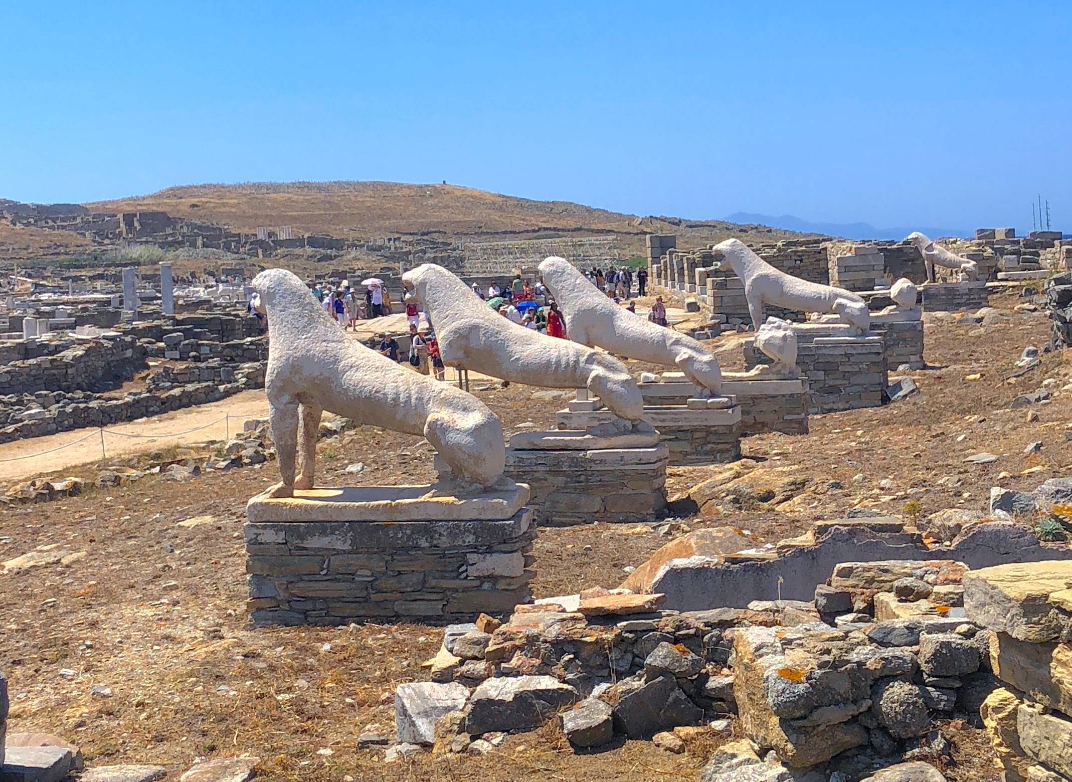 Terrace of the Lions Delos Terrace of the Lions Delos